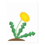 Stylised Dandelion Post Cards