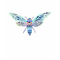 Stylish Cicada: Ladies Petite T-Shirt
