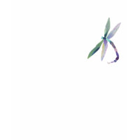 Stylish Dragonfly Ladies Short Sleeve shirt