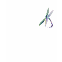 Stylish Dragonfly Ladies Short Sleeve t-shirts