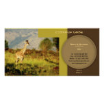 Stylish giraffe safari profile cards customizable custom photo card