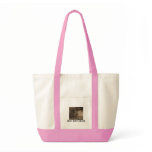 Stylistic Pointe bags