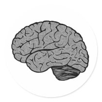 Stylized Brain Stickers by bumpybrains Stylized Brain Stickers