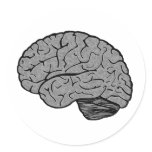Stylized Brain Stickers