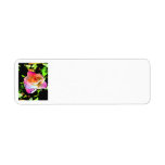 Stylized Pink Rose Custom Return Address Labels