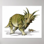 Styracosaurus Poster