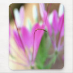Sublime - Spiderflower - mousepad mousepads
