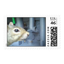 Submarine squirrel Stamp!