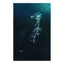 Submergence posters