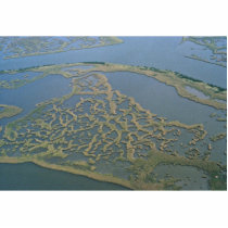 Subsiding Marsh photo sculptures