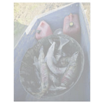 Subsistence catch of dog salmon on Koyukuk River letterhead