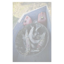 Subsistence catch of dog salmon on Koyukuk River stationery