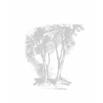Subtle trees t-shirts by jssleek Subtle trees t-shirts