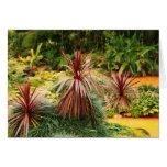 Subtropical vegetation greeting card