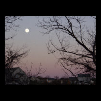 Suburban Moon Rise posters
