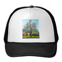 'Suburbs - Late Afternoon In Spring' by Susan Sava hats