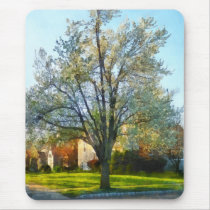 'Suburbs - Late Afternoon In Spring' by Susan Sava mousepads
