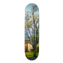 'Suburbs - Late Afternoon In Spring' by Susan Sava skateboards