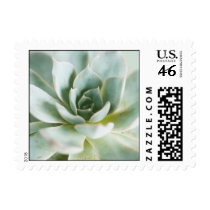 succ5 postage