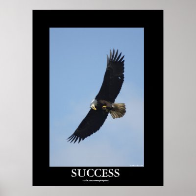 Success Motivational Posters on Success Bald Eagle Motivational Poster From Zazzle Com