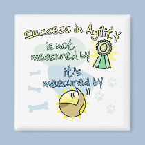 Success in Agility magnets