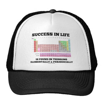 Success In Life Is Found In Thinking Elementally Mesh Hats