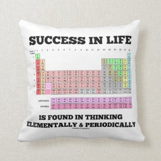 Success In Life Is Found In Thinking Elementally Throw Pillow