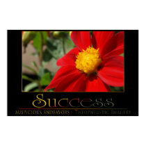 Success posters