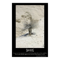 Success posters