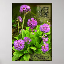 Success Print