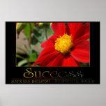 Success posters