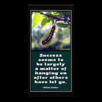 Success Seems To Be... Photo Card photo cards