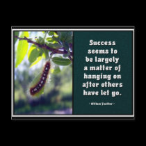 Success Seems To Be... Postcard