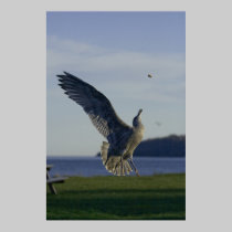 Success Within Reach fine art print posters