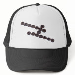 SuccessDetails042509 Trucker Hat