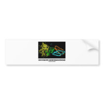 Succinate Dehydrogenase (Chemistry) Bumper Stickers