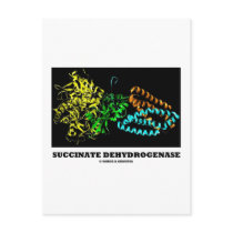 Succinate Dehydrogenase (Chemistry) Post Cards