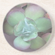 Succlent Flower Coasters