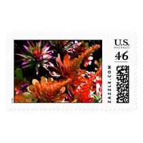 Succulants.. postage