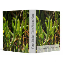 Succulent beach plant leaves binders