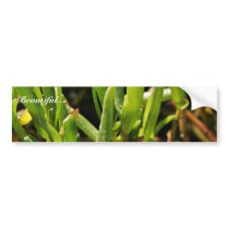Succulent beach plant leaves bumper stickers