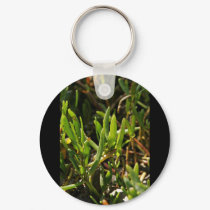 Succulent beach plant leaves keychains