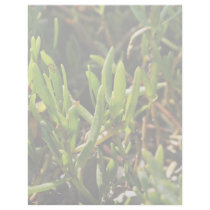 Succulent beach plant leaves letterhead