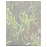 Succulent beach plant leaves letterhead