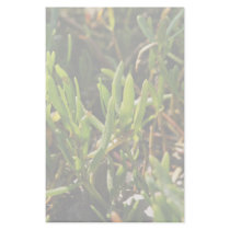 Succulent beach plant leaves personalized stationery