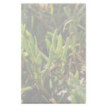 Succulent beach plant leaves personalized stationery