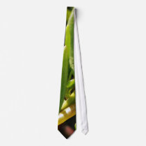 Succulent beach plant leaves ties