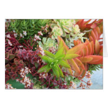 Succulent bouquet card