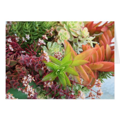 Succulent bouquet card