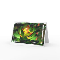 Succulent Bud cards
